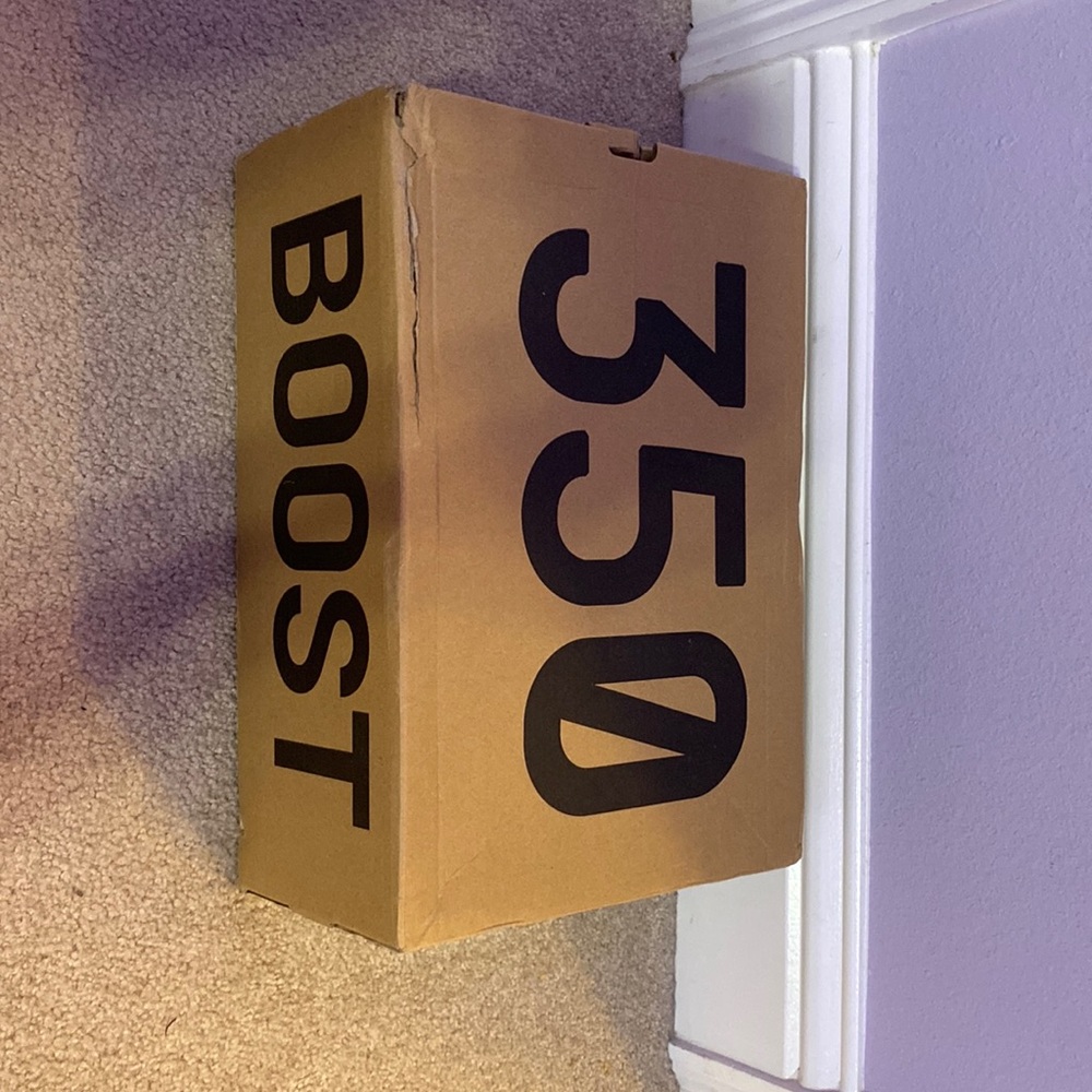 Yeezy boost 350 Mono ice
